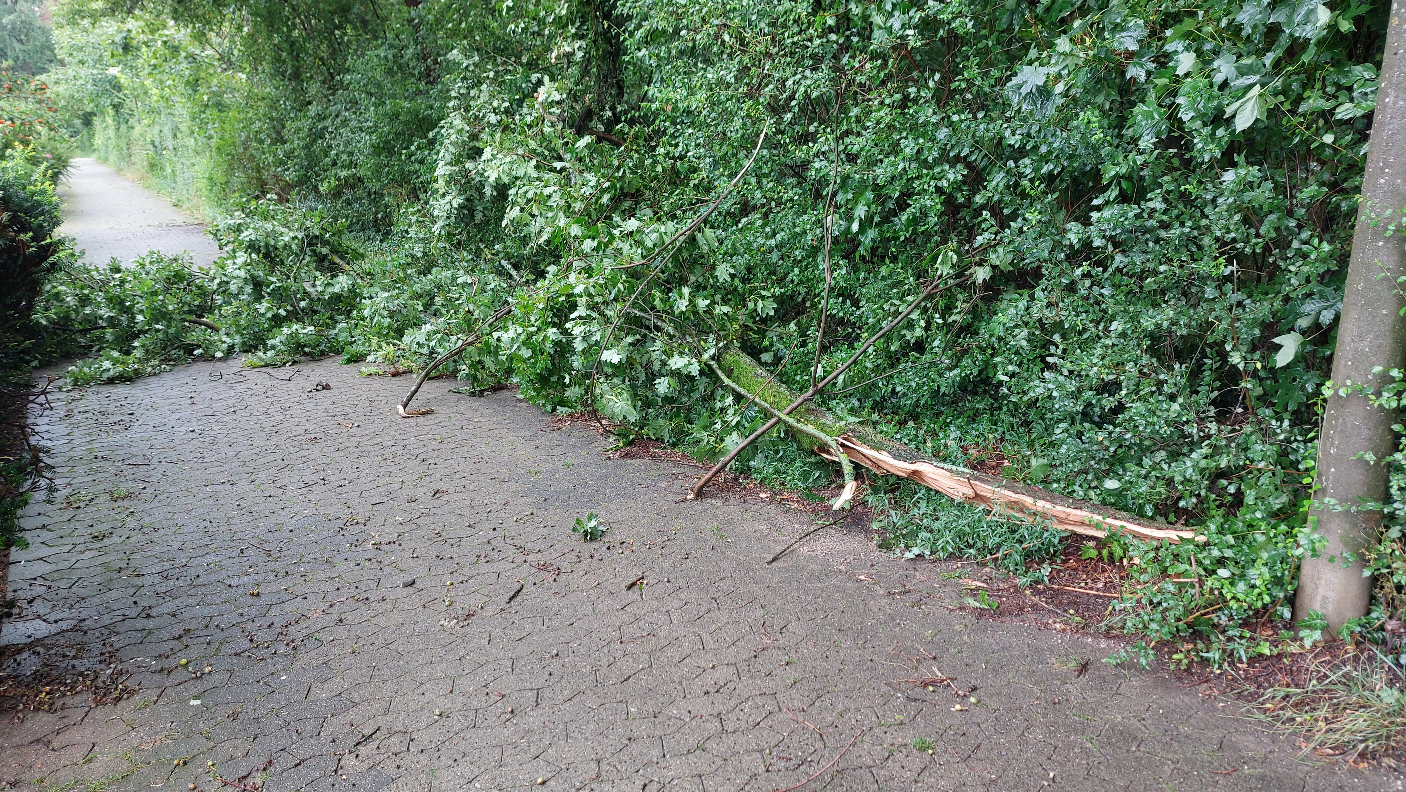 Techn. Hilfeleistung