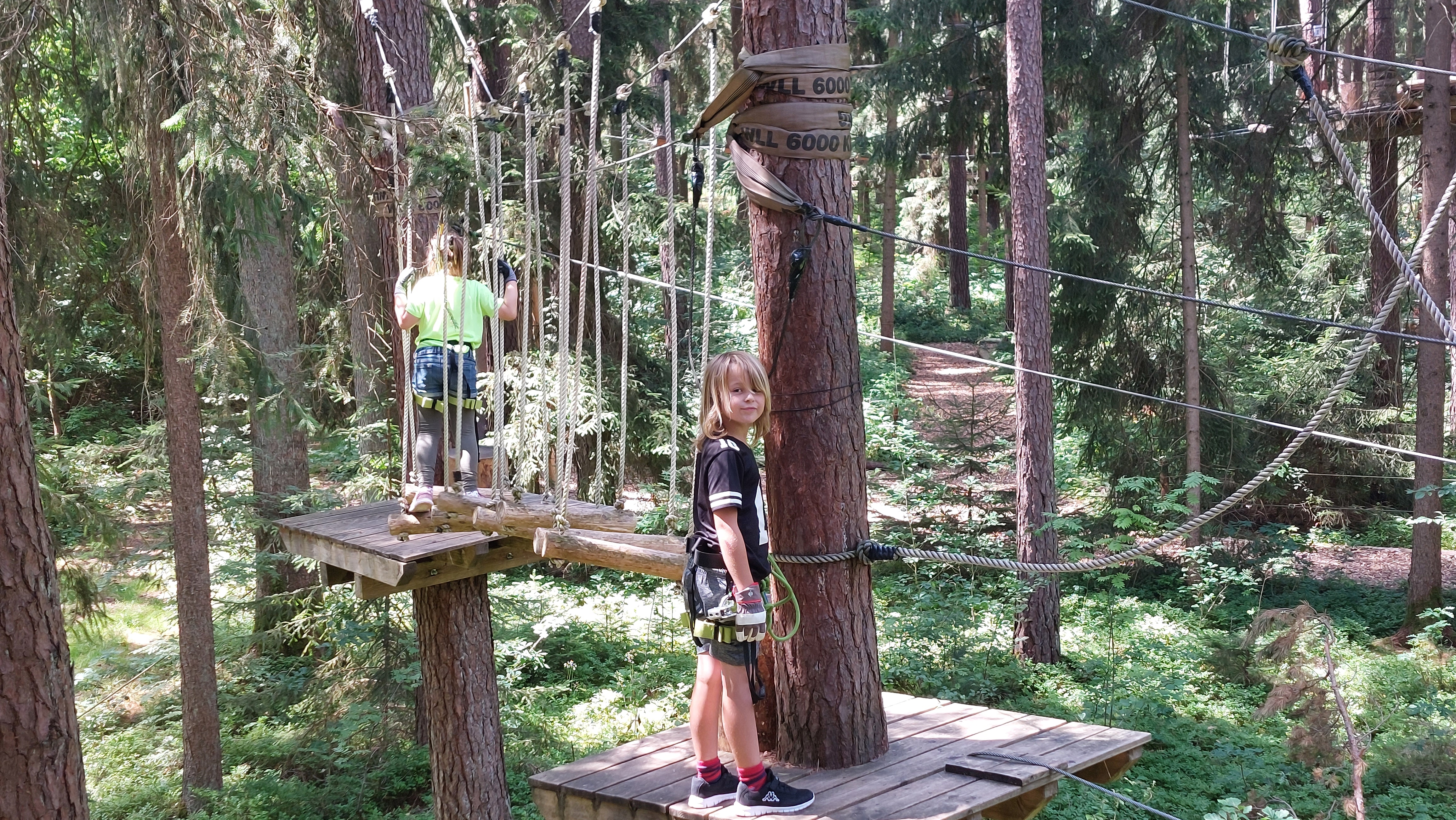 Hoch hinaus! Hoch hinaus!